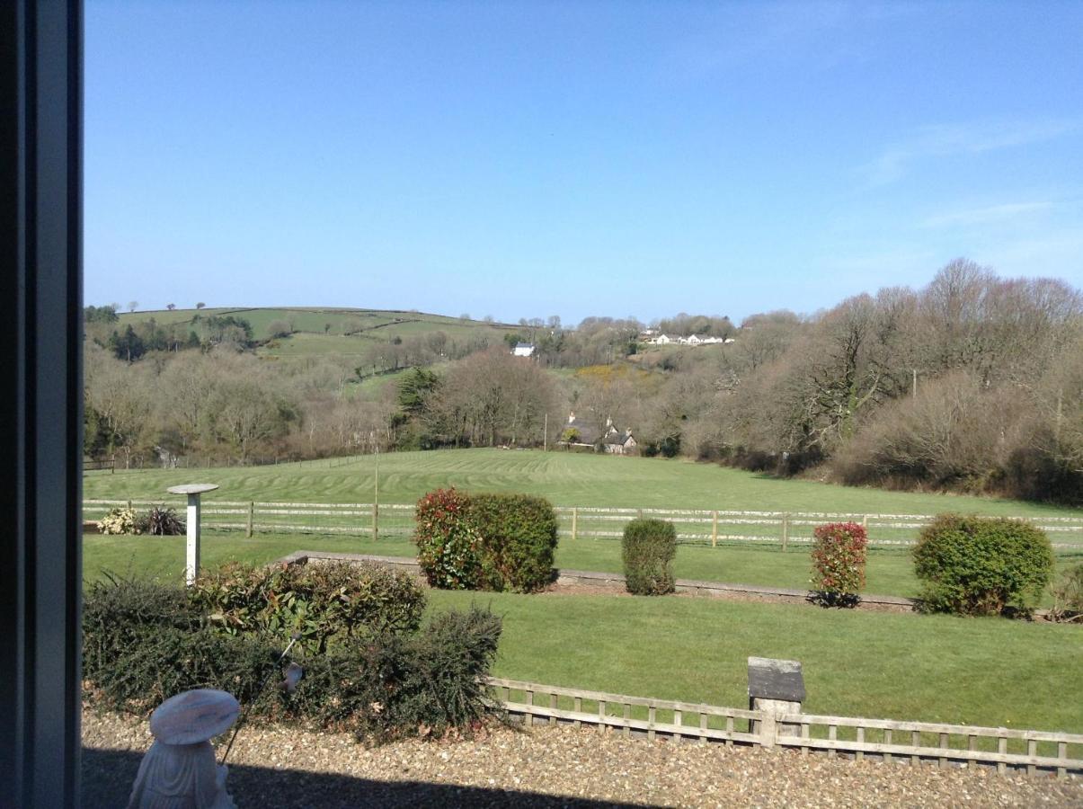 3 Bed Cottage With Hot Tub & Near New Quay Wales Llandysul Ngoại thất bức ảnh